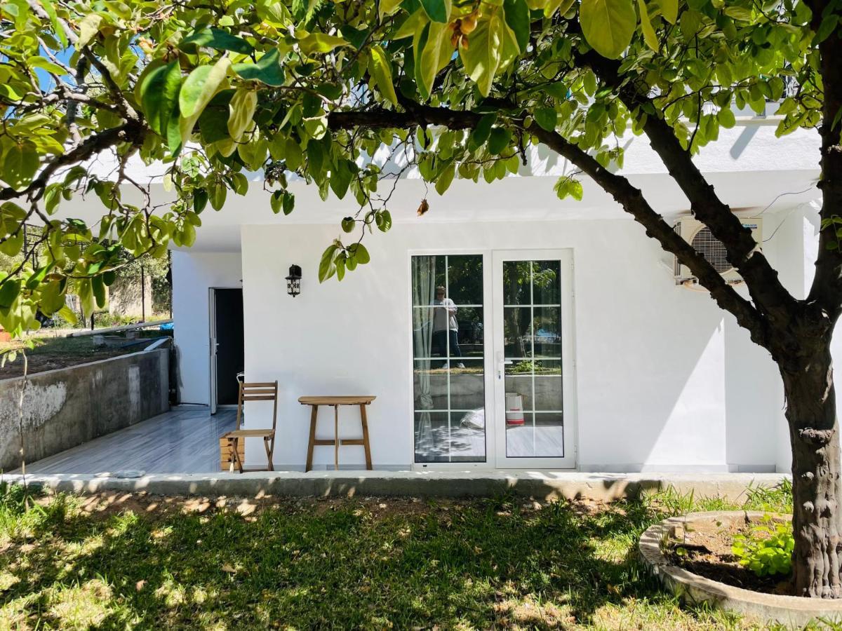 Beach Villa Isidora Potós Eksteriør bilde