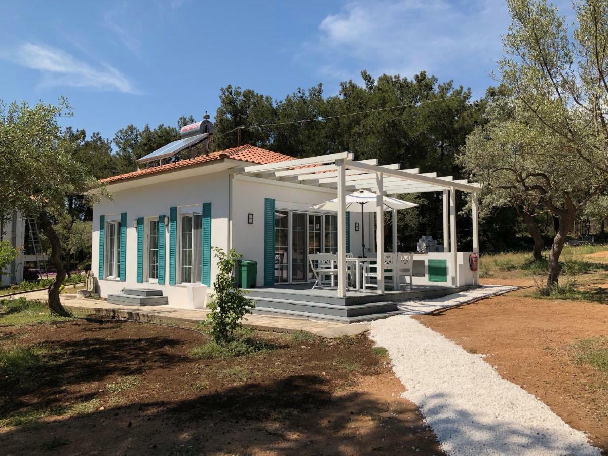 Beach Villa Isidora Potós Eksteriør bilde