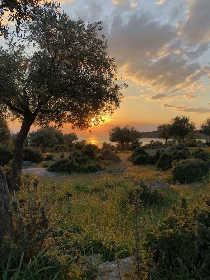 Beach Villa Isidora Potós Eksteriør bilde