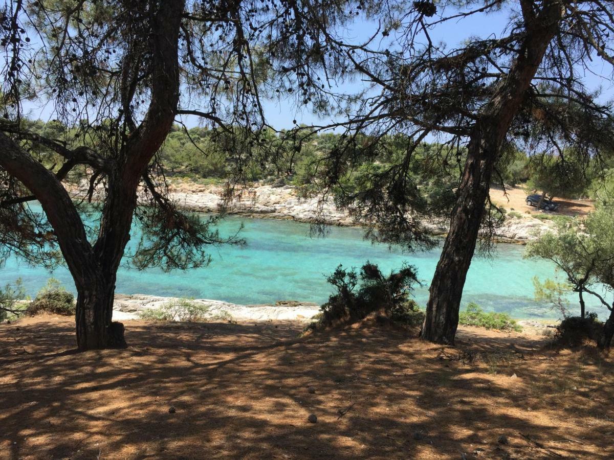 Beach Villa Isidora Potós Eksteriør bilde