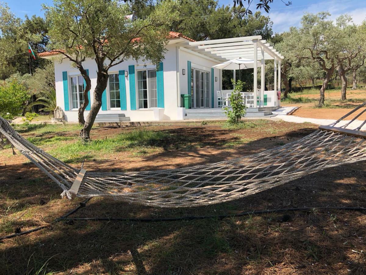 Beach Villa Isidora Potós Eksteriør bilde